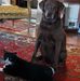 Mary Rummage - Facebook