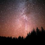 Mary Ann Mulvihill Runco - @andalusian25 - Instagram