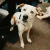 MaryRunkel - @virgiltheheeler - TikTok