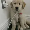 HazelMurray - @maryrupet69 - TikTok