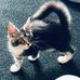 Mary Rusher - Facebook
