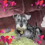 Mary Rushlow - @maryann441978 - Instagram