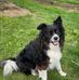 Mary Sabol - Facebook