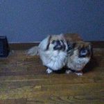 Mary Samples - @samples.mary - Instagram