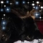 Mary Samples - @mary.samples.560 - Instagram