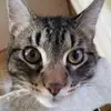 Mary Yvonne Samples - @m2000.ys - TikTok