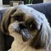Mary Santini - Facebook