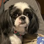 Mary Ann Lizotte Sarver - @lizottesarver - Instagram