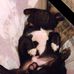 Mary Sarver - Facebook