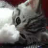 marysatta935 - @marysatta935 - TikTok