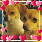 Mary Jo Scates - @shadow2384 - Instagram