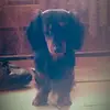 Mary Schalker - @maryschalker - TikTok