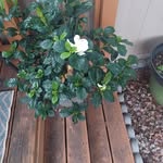 Mary Schaller - @maryschaller52 - Instagram