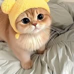 Mary Chablé - Facebook
