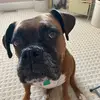 marymelindascheible - @marymelindascheib - TikTok