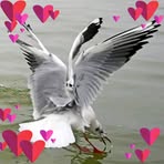 Merii Cheplee - Facebook