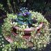 Mary Schuller - Facebook