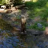 maryschellert210 - @ms.contrary - TikTok
