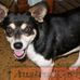 Mary Schey - Facebook