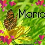Mary Schillaci - @mary.schillaci.10 - Instagram