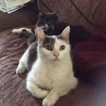 Mary Schiro - @schiromary - Instagram
