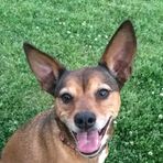Mary Jo Schmalz - Facebook