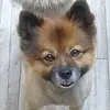 maryschmutzler - @maryschmutzler - TikTok
