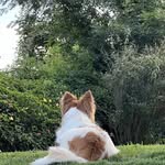 Mary Schoch - @marysintoaks - Instagram