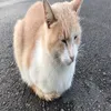 Marylin Schoenborn  - @marylinmes2502 - TikTok
