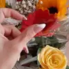 Mary Sciuto - @marysciuto2 - TikTok