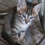 Mary Sciuto - @mary_sciuto_ - Instagram