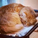 Mary Scranton - @mary.scranton2001 - Instagram