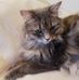 Mary Searle - Facebook