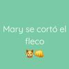 Mary se cortó el fleco 😹👊 - @mary_se_corto_el_fleco - TikTok