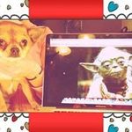 Maryse Cordiez - @marysecor - Instagram