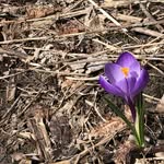 Mary Seefeld - @mjseefeld - Instagram