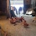 Mary Seefeld - Facebook