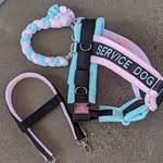 mary&seek - @sps.gear - Instagram
