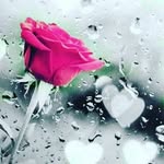Mary & Seid hosin - @mrss_darya - Instagram