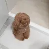Mary Seipp - @maryseipp415 - TikTok