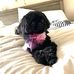 Mary Seman - Facebook