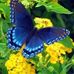 Mary Seman - Facebook