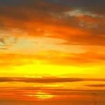 Mary Lee Newton Semler - @newtonsemler - Instagram