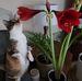 Mary Sendek - Facebook