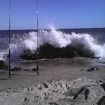 mary sequeira - @sequeira7573 - Instagram