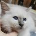 Mary Sergi - Facebook