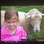 Mary Sergi - @maryslittle__lambs - Instagram