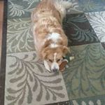 Mary Settle - @mlkdcs - Instagram