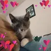 marysettles5 - @marysettles5 - TikTok