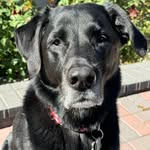 Mary Seubert - @mmseubert - Instagram